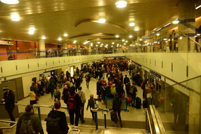 DSC_0705 (Large).JPG